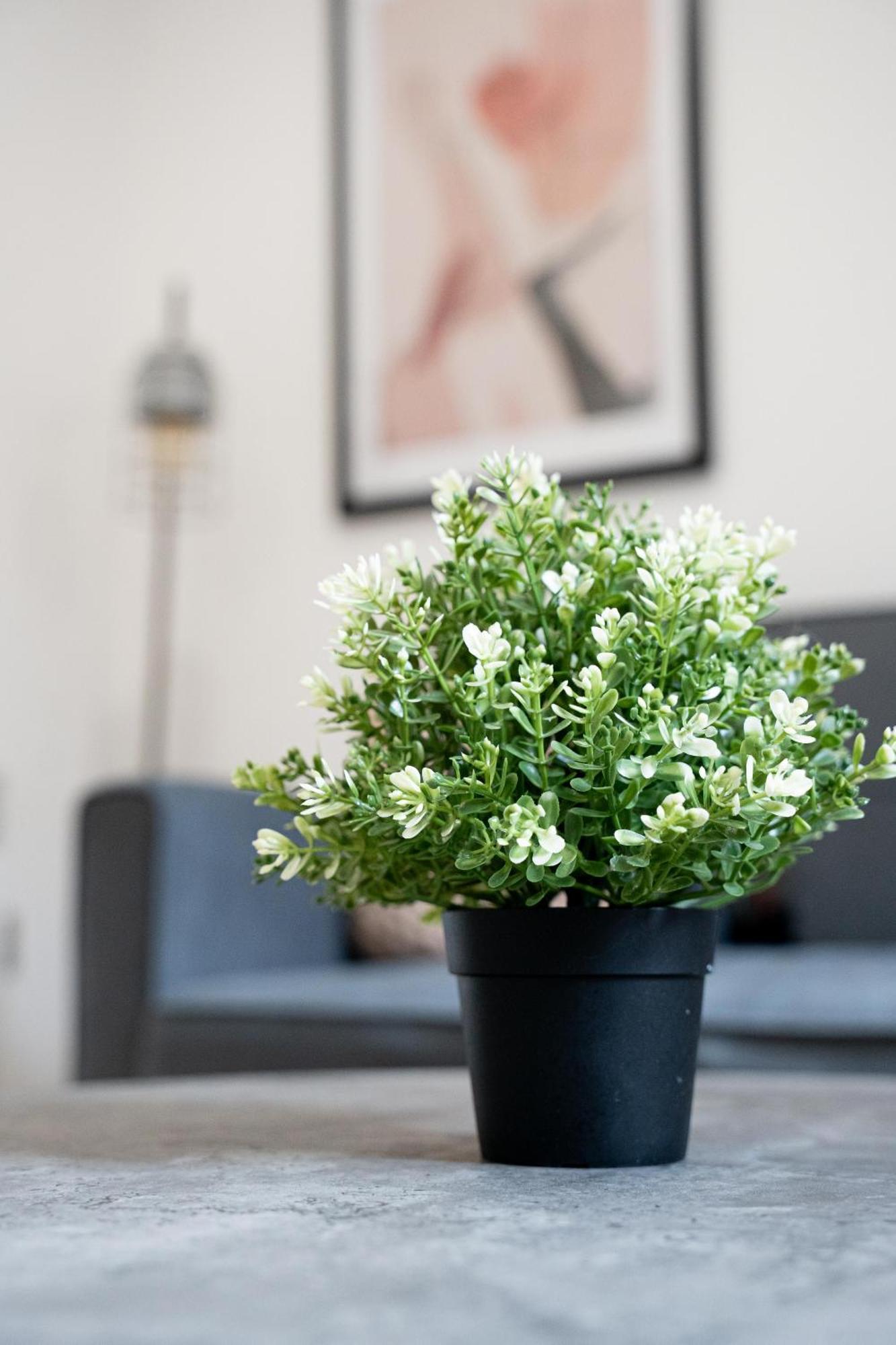 Sevenstay Fleet Street Apartment *
